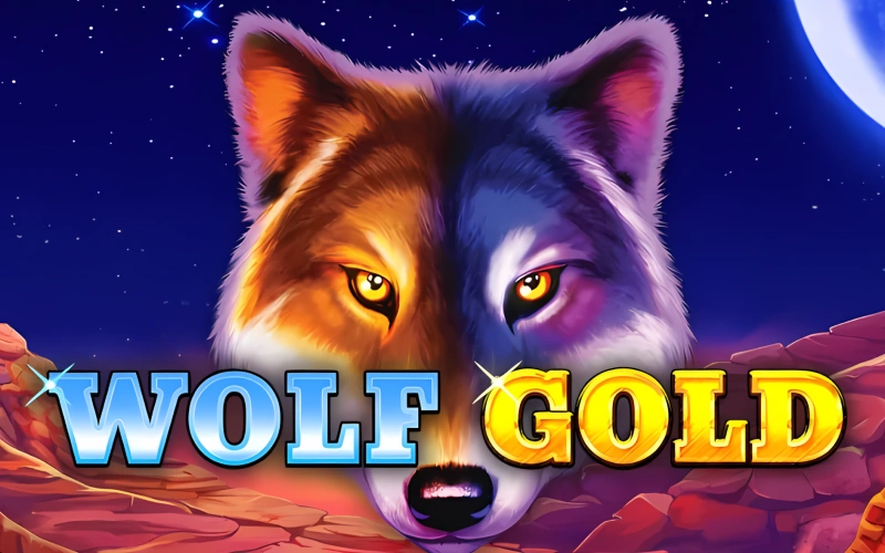 Nutzen Sie Ihre Gewinnchancen beim wilden Wolf Gold Slot bei Spinpolo Casino.